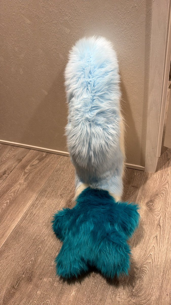 Epsilon418's tweet photo. @ember__vc I have a star tail! https://t.co/kG35DCPRvf