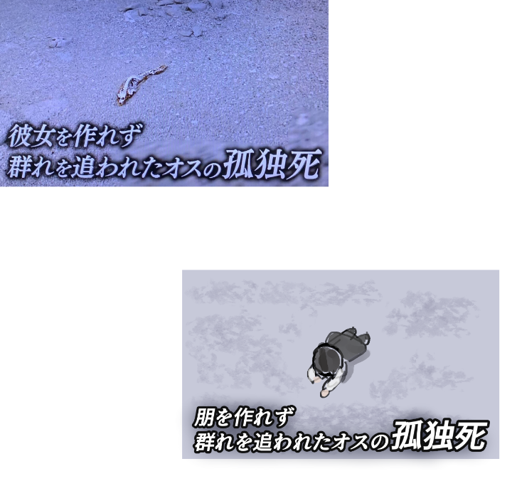 4__w__i's tweet photo. https://t.co/AqyQpy7Ff4