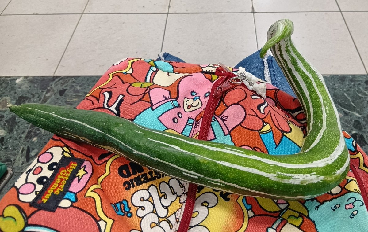 ayaka04161985's tweet photo. 久しぶりに珍野菜ハンターの血が騒いだ😌 https://t.co/qxtul6erJ8