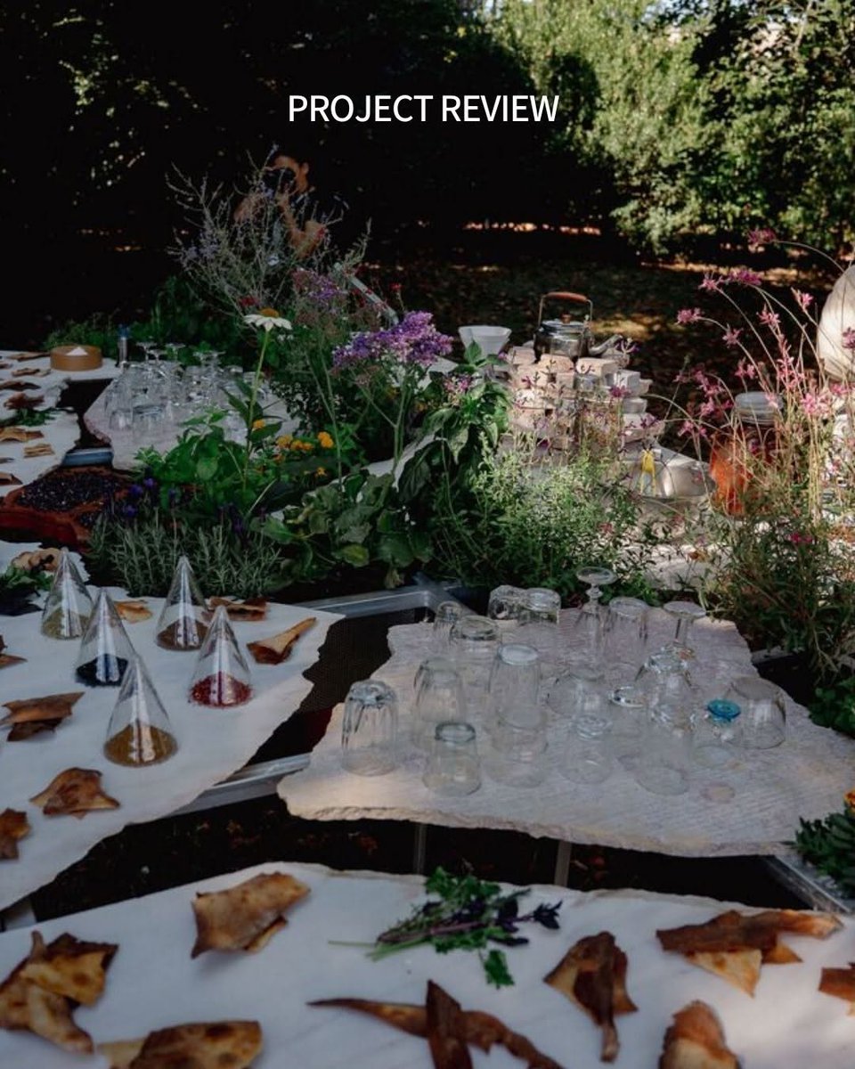 HermilaLevbvld's tweet photo. This week's projects review is Live Multispecies Kitchen by Francisca Sottomayor  +  @

Images by José Guilherme Marques

Learn more about this project in the link in bio 🔗 https://t.co/CCa15VBBg4