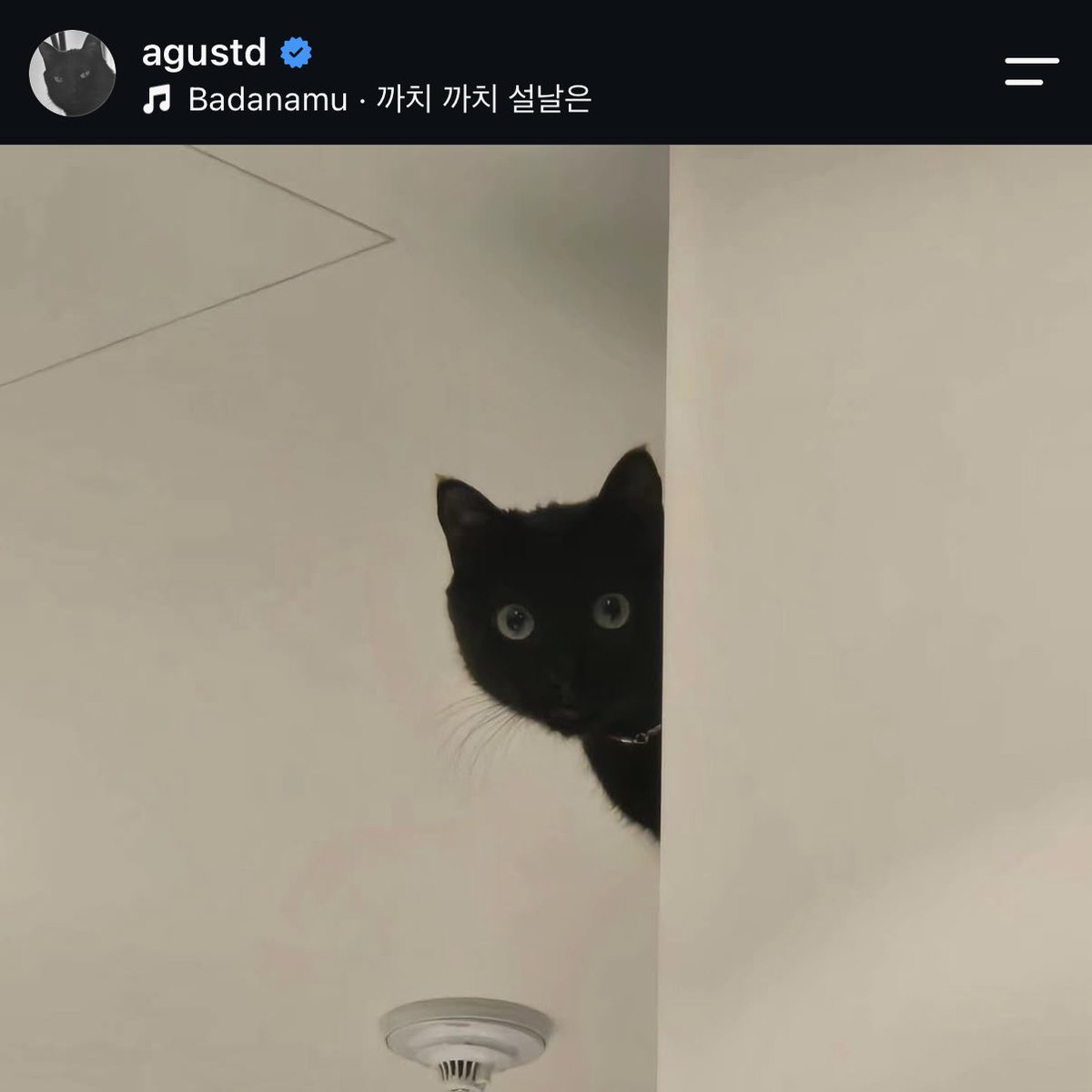 vjungist tweet picture