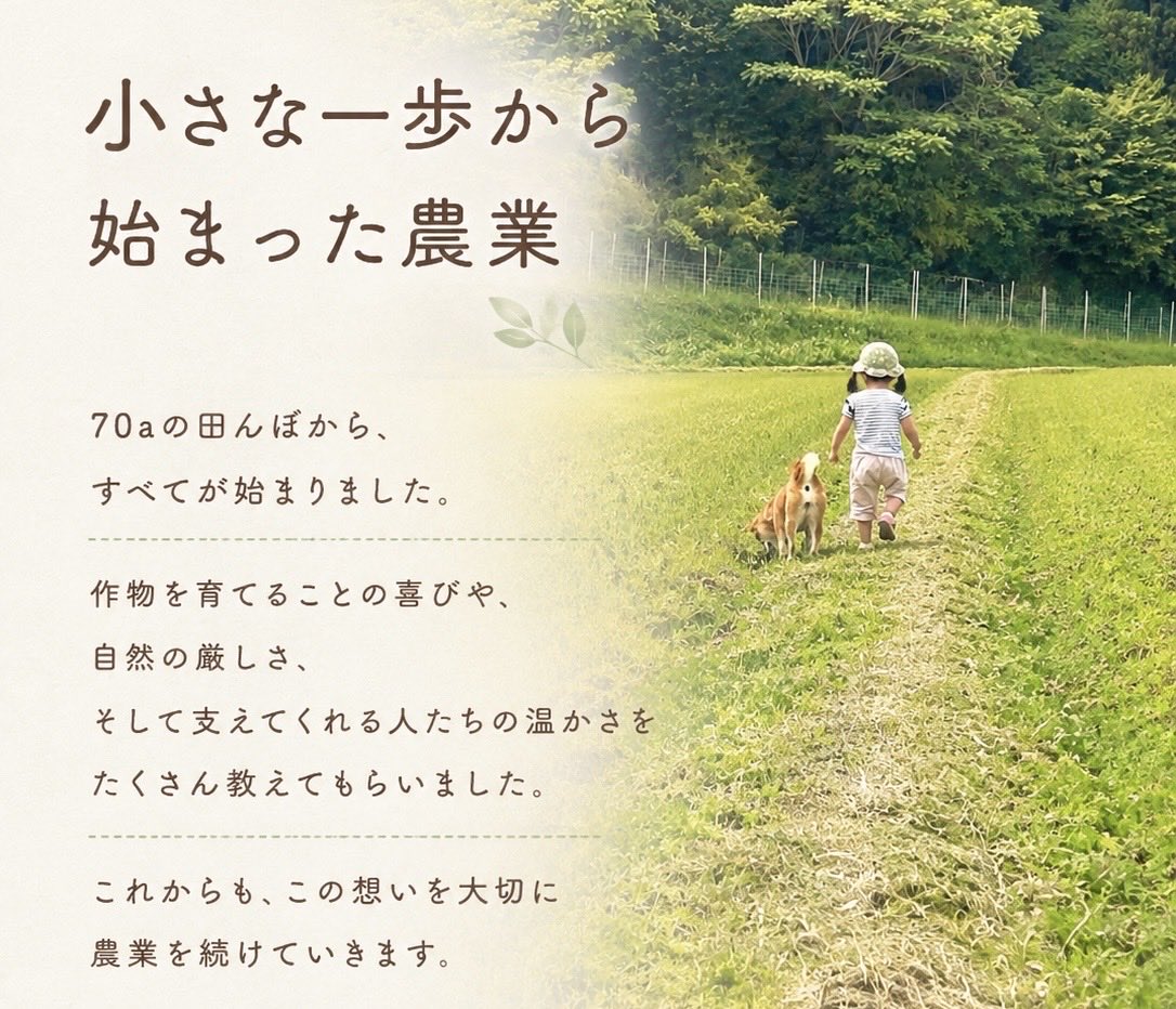 okami_farm's tweet photo. 【70aから始まった農業】
初めて自分たちで育てたとうもろこしを畑で食べた時、あまりのおいしさに思わず「うま！」と叫んだ日のことは忘れもしません。
そしてこの感動を多くの方に届けたいと思ったあの日の気持ちは今も変わらず持ち続けています。

まだ農業を始めて間もない私たちですが、毎年とうもろこしを楽しみに待ってくださる方がいることが大きな励みです。

今年は、20アールの畑へ植え付けていた分が火災後に十分な管理ができず枯れてしまい、これから植える予定で自宅玄関前に育てていた苗も火災で焼失しました。

届けられない悔しさを、来年へつなげたいと思っています。

#農業の原点 #火災からの再建 #米農家 #農地を守る #オオカミファーム　#拡散希望ＲＴお願い致します