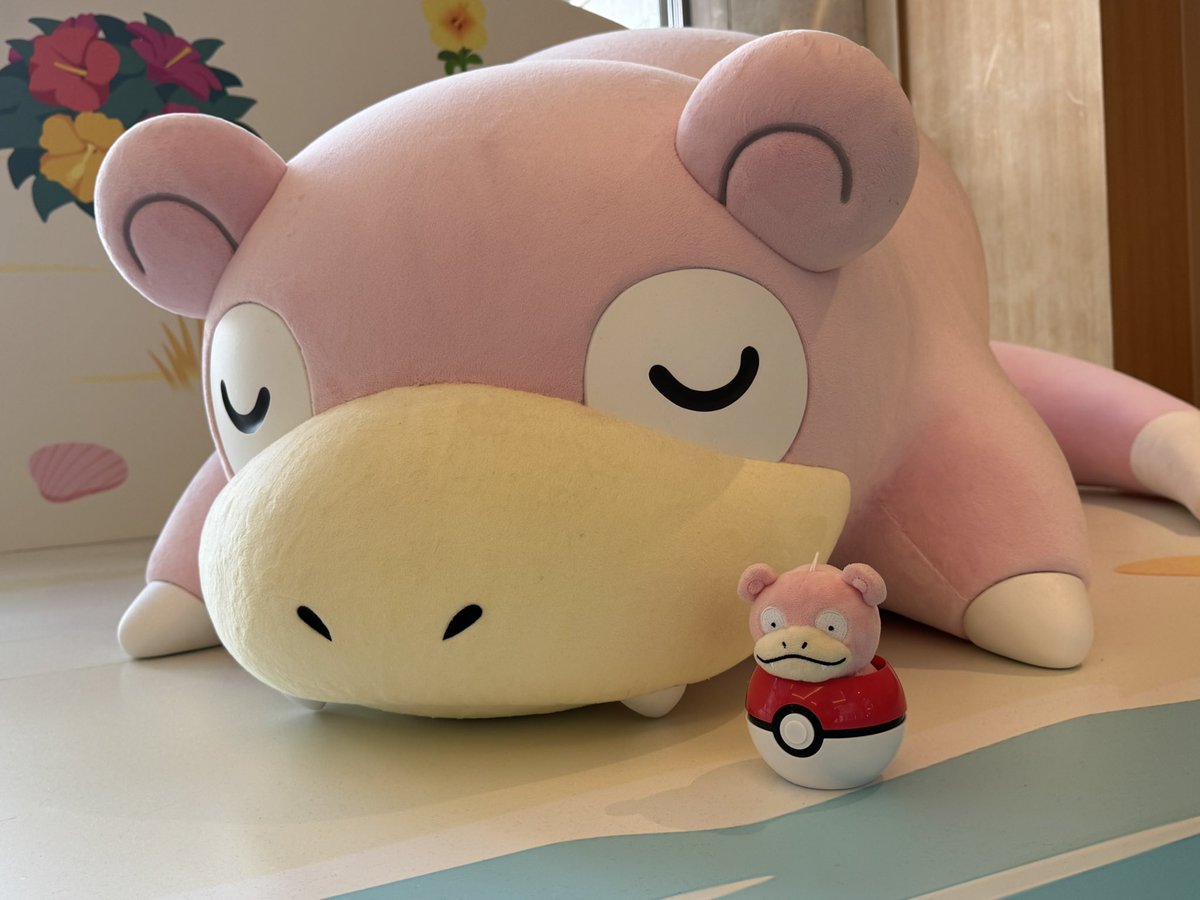 akiduki10's tweet photo. すやすやヤドンちゃんとツーショット📷

小ブミは緊張でカチカチですね…☺️ https://t.co/H0aLdEUIxn