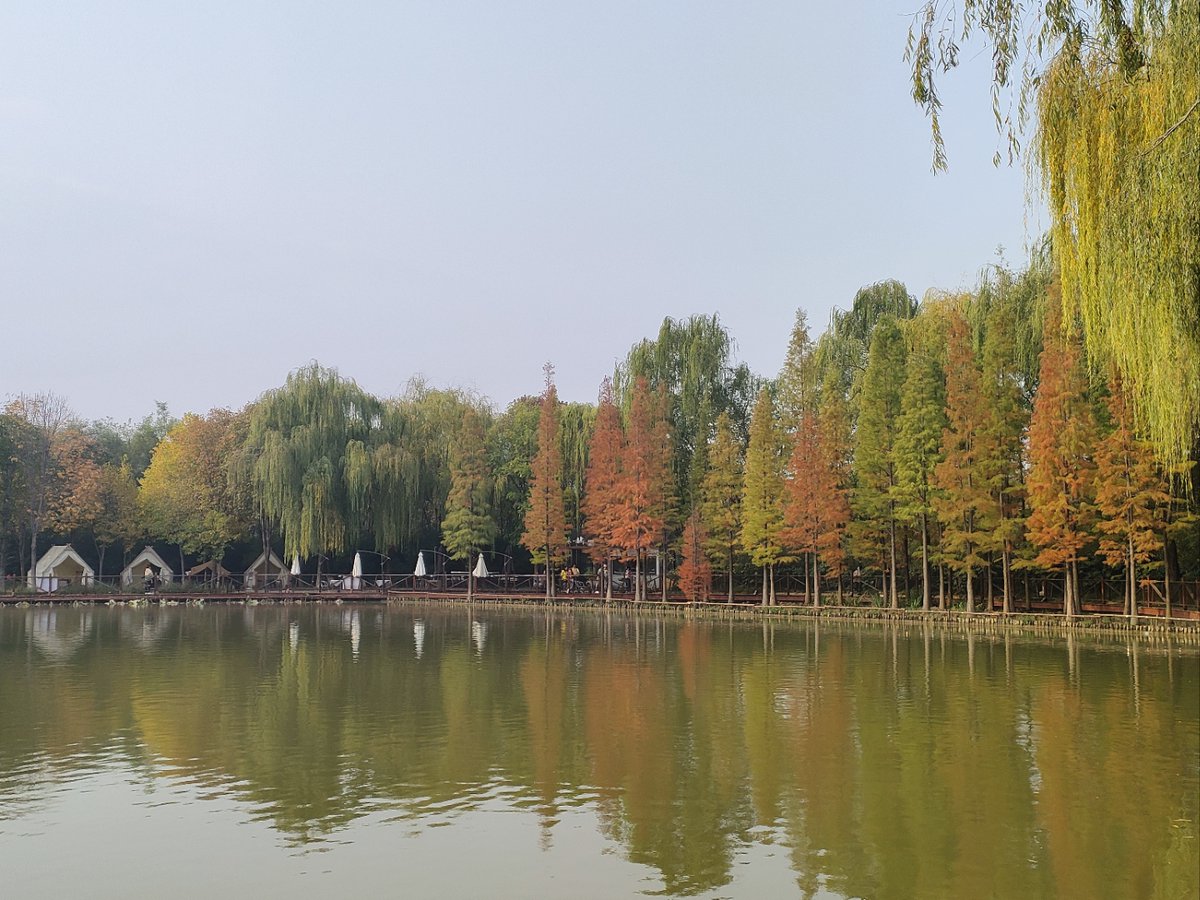 Hambit2's tweet photo. Bright sunny morning + cool breeze = perfect autumn walk! https://t.co/kng1pFAeUe