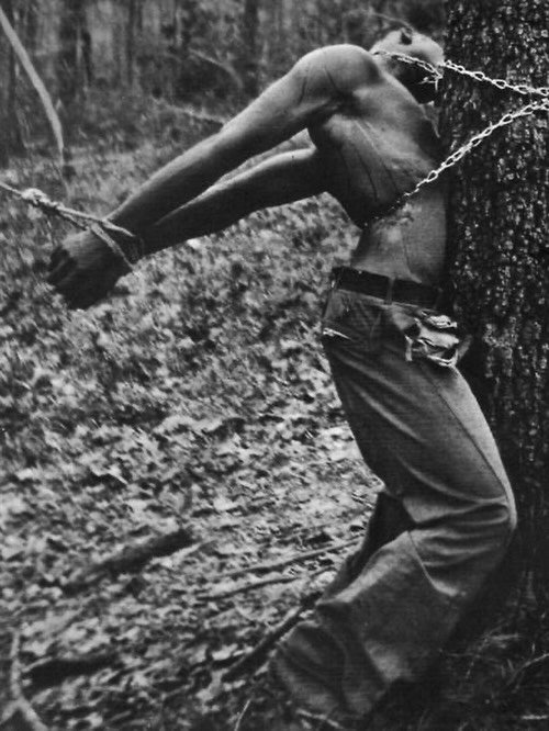 SankaraDispatch's tweet photo. White People: "Black people are so violent "

Also White People: https://t.co/8b3XDSl6H7