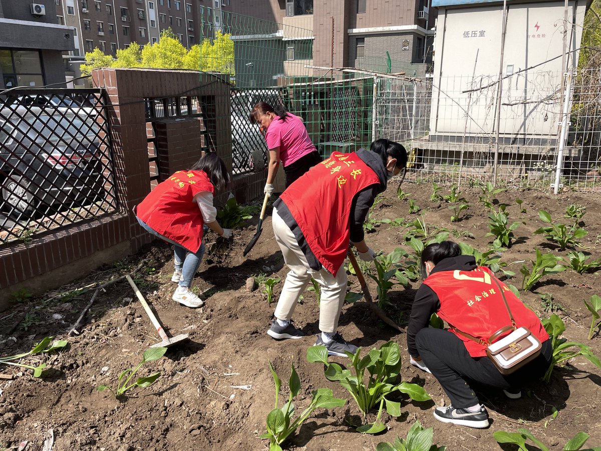 SupporterMike's tweet photo. [Free community garden planting session this Sat 10am at Maple Park! Bring gardening gloves—all supplies provided. Meet neighbors u0026 grow veggies together!]， https://t.co/N4pF37ULDv