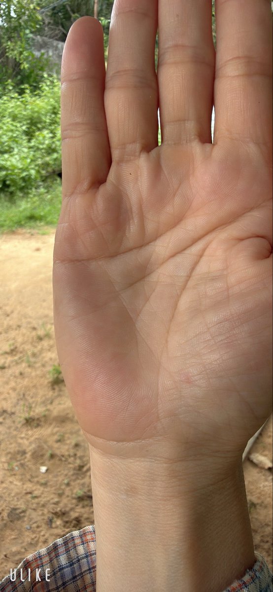 co_longphuquoc's tweet photo. Bàn tay lương thiện ❤️🧡 https://t.co/Cn88JfeRSw