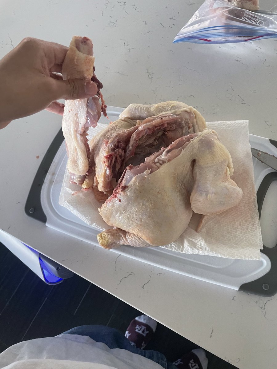Skoinziens's tweet photo. hi #spatchcocktwt watch me #spatch this cock(?) https://t.co/yfi9T0Ti6D
