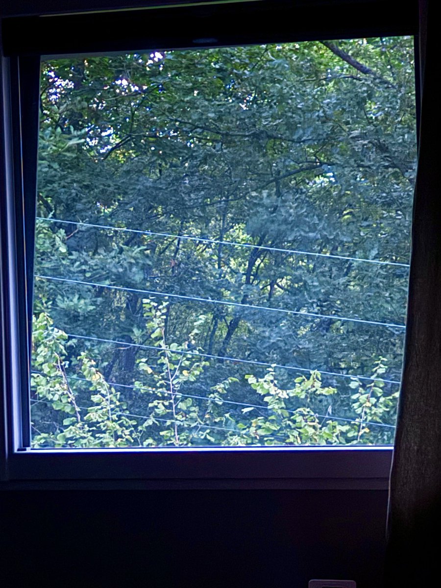LOLILOLSfW's tweet photo. l’extérieur est bleu-vert 😰 https://t.co/FMpV2XtjBX