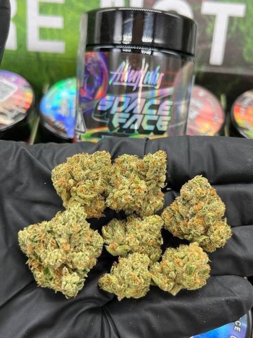 Dallasbuds1's tweet photo. Weed Lancaster, Waxahachie, Rockwall, Rowlett, Sachse, Murphy, The Colony, Little Elm, Prosper, Celina, Aubrey, Farmers Branch, Addison, Richardson, University Park, Highland Park, Lake Highlands, Oak Cliff, Deep Ellum, Uptown Dallas, Downtown Dallas, Bishop Arts District https://t.co/ZoAhXnzuX3
