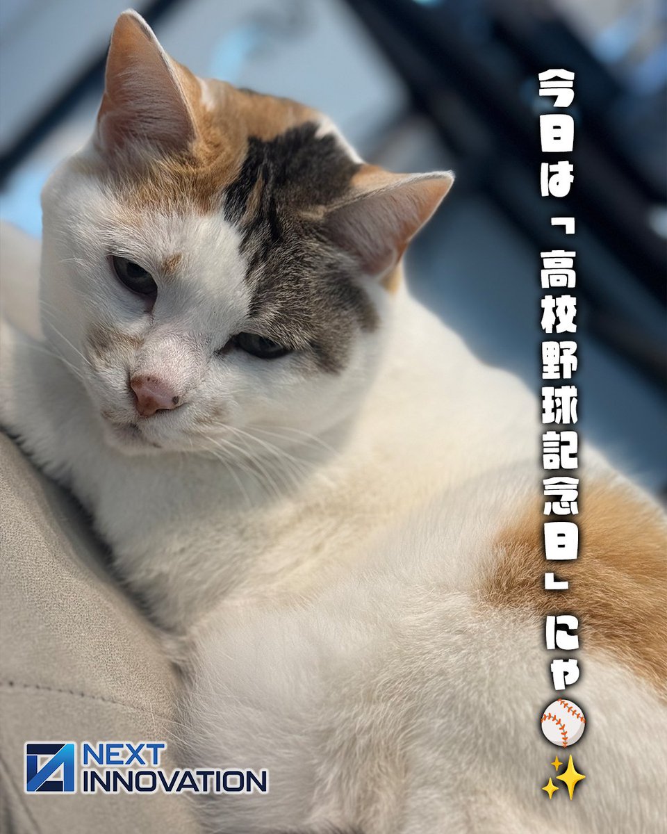 nxtinnovations's tweet photo. 🐾猫社長ゆずマルにゃ🐱
2026年8月18日（火）🌿 #今日は何の日
今日は「高校野球記念日」にゃ⚾✨

1915年のこの日、現在の夏の高校野球につながる第1回全国中等学校優勝野球大会が開幕したにゃ🐾

高校野球では、ひとりの力だけじゃなく、仲間と声を掛け合い、支え合うことが大きな力になるにゃ😸

ITの世界も同じで、チームでアイデアを出し合い、それぞれの力をつなげることで、大きな成果につながるにゃ💻🌐

今日も仲間とのつながりを大切に、
自分のできることから一歩ずつ進んでいこうにゃ🍀

#今日は何の日 #高校野球記念日
#IT豆知識 #チームワーク #DX
#デジタル活用 #猫社長 #ゆずマル
#仕事術 #業務改善 #ビジネス
#ネクストイノベーション #IT企業