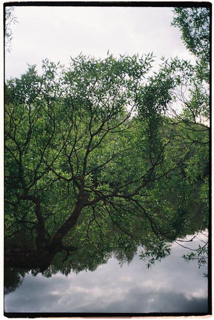 LeraMiessle2's tweet photo. لقد شاركت هذا المقال مع - إنه جيد! أصدقائي لطفك. شكرا أنا ممتن لك يا صديقي. jackson slivka🚢 https://t.co/SYUSMYrOPf
