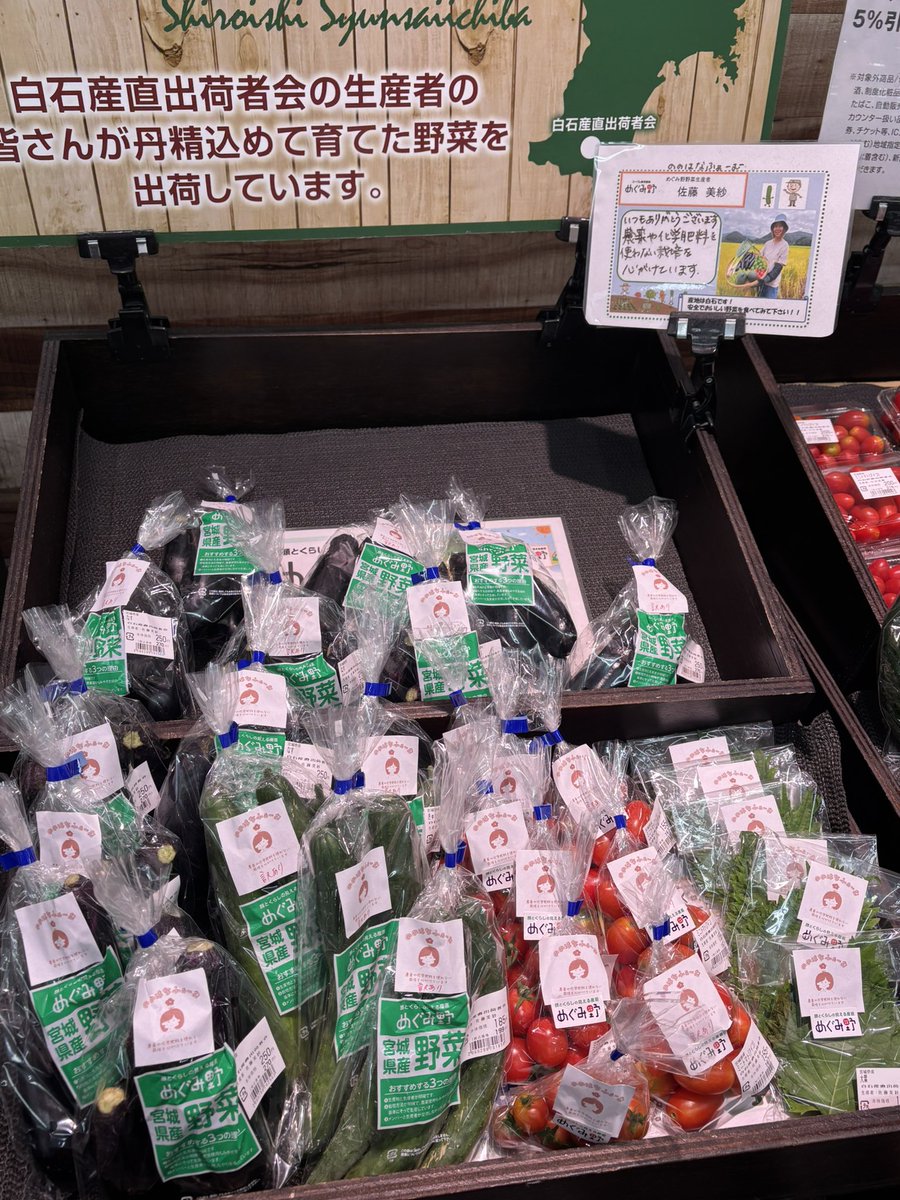 nonohanafarm's tweet photo. 【出荷情報】
みやぎ生協セラビ白石店にて、
🍆なす
🥒きゅうり
🍅ミニトマト
🌱大葉
販売中です！
ぜひお立ち寄りください✨ https://t.co/0k1nsE2Vfy
