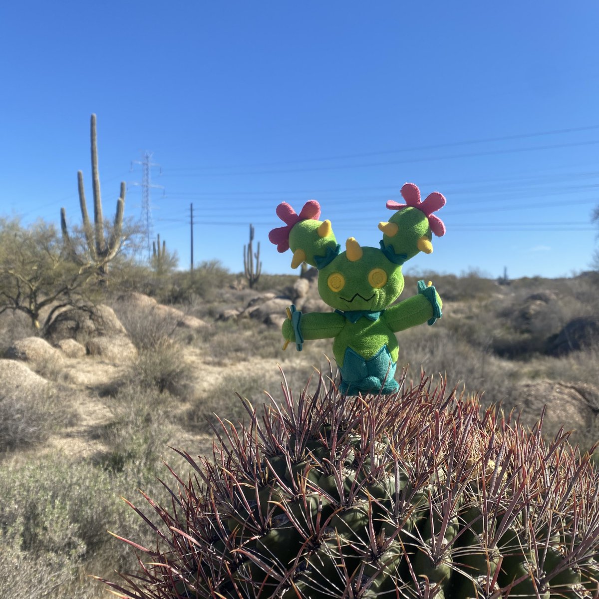 DaTateYT's tweet photo. I take him everywhere with me. He is my little best friend https://t.co/CCvhkHIoeQ