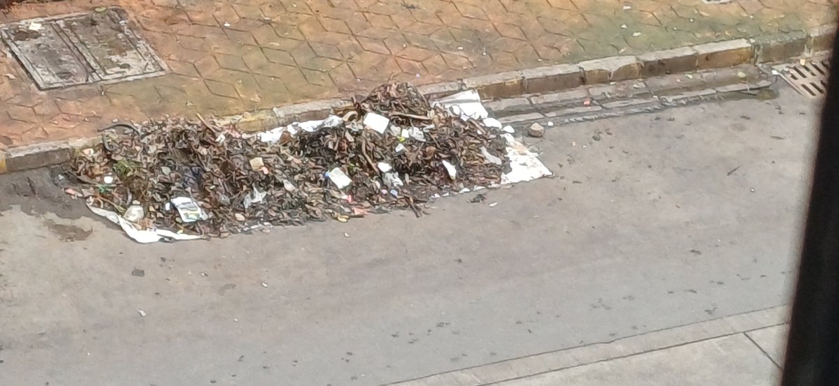 not_mitch_todo's tweet photo. @mybmc @mybmcWardKE these are remains of the tree which fell on 2nd July on Military rd  near Vishwadeep bungalow. Kindly get the rotten leaves cleared as well as the tree stumps. Pls also get thhe footpath repaired. https://t.co/ZRCkz7K1Zu