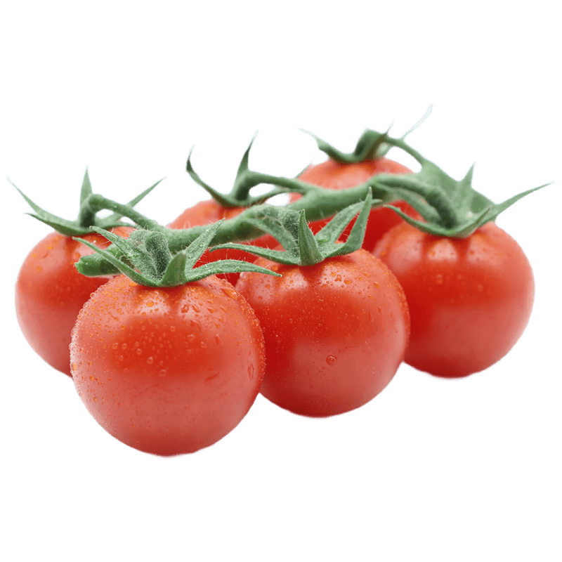 310mihimaru's tweet photo. [Just tried the seasonal sun-ripened cherry tomatoes! Burst with sweet, fresh juice, no sour aftertaste—perfect for snacking or salad toppings ]， https://t.co/5dWFuOftZs