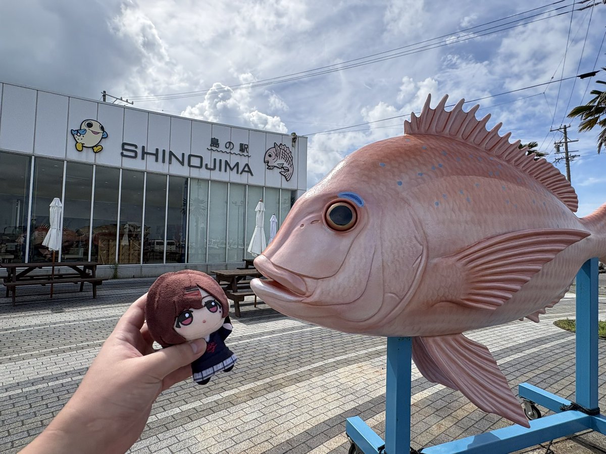 ayaimas44's tweet photo. ということで
円香と一緒に「篠島」行ってきましたー！
やや雲があったけど綺麗なところでした！
ただ3時間くらい歩いたので
流石に疲れましたね… https://t.co/5ZWQIT2fDb