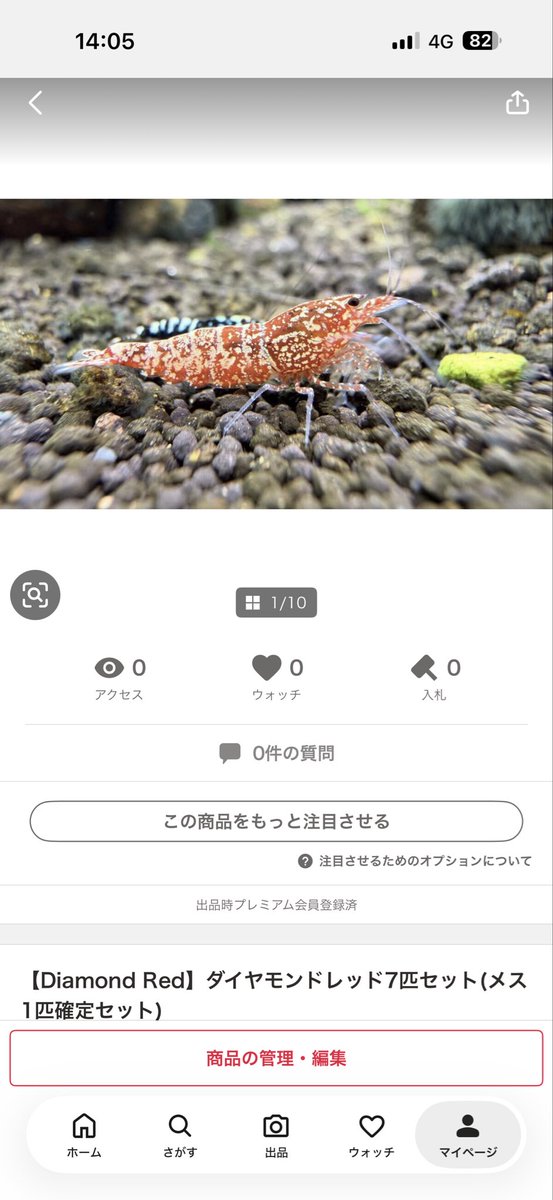 kennysshrimp's tweet photo. ダイヤモンドレッド7匹とダイヤモンドブラック12匹スターターセット
ヤフオク出品致しました

ご興味おありの方是非よろしくお願いします https://t.co/DyYtldAGuX