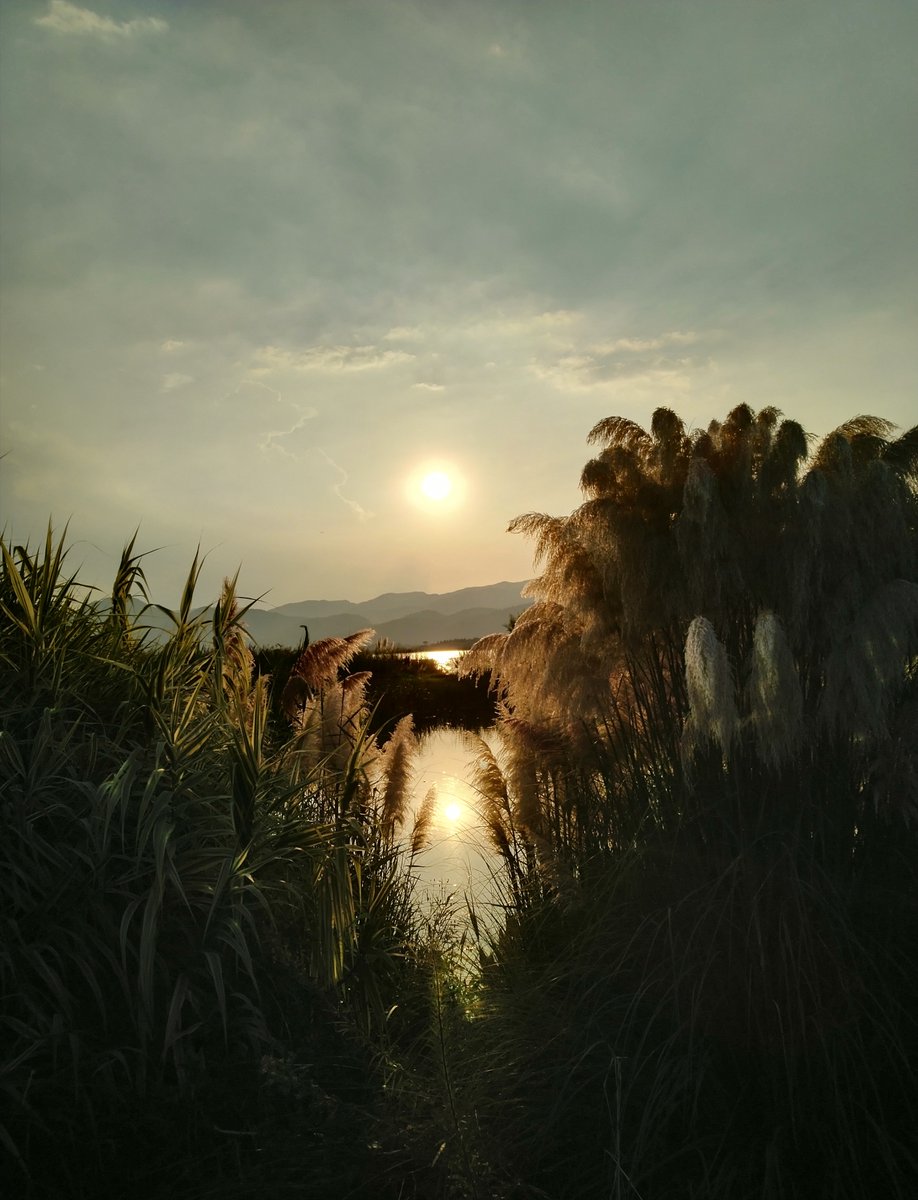 deepak35985455's tweet photo. New to photography Start with mastering natural light—it’s free, soft, and works for 90% of beginner shots. Try shooting during golden hour (1hr after sunrise / 1hr before sunset) for warm, flattering tones. #PhotographyTipsForBeginners https://t.co/4L2DgkYPmm
