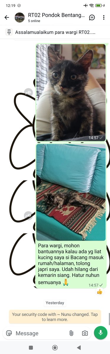 ruivolution's tweet photo. Bacang ilang dari hari sabtu tgl 15 agustus siang. Udah minta tolong ke grup RT, minta tolong ke wargacing, sempet ketemu ama kucing yg mirip bgt ama bacang (kemungkinan besar itu ibunya) https://t.co/O9yxYNnNWL