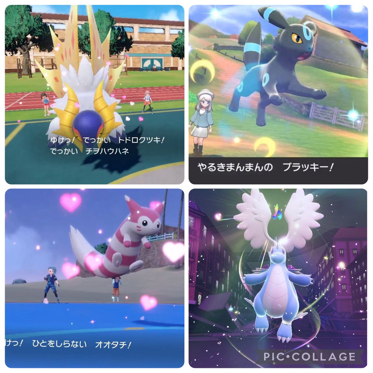 327_haru's tweet photo. 自慢のポケモン！この子たちです🫶

←ゲーム内で厳選した子
          現実世界に連れてきた子→ https://t.co/yU7CXWTRFF