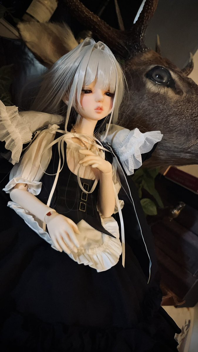 osp9029's tweet photo. 俺のコーデしたドール可愛すぎ

部屋が死んだ物(標本･骨･剥製･ドライフラワー)と偽物(フェイクグリーン)の世界だから

それに相応しい住人が出来た https://t.co/Hx3WKukuYl