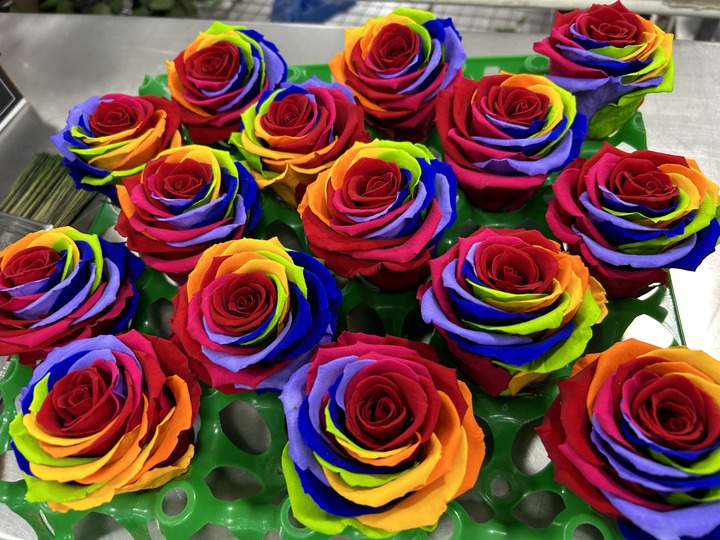 XHespanol's tweet photo. Con la llegada del Festival Qixi, el tradicional Día de los Enamorados en China, que cae el 19 de agosto este año, las rosas ecuatorianas ganan popularidad entre los consumidores del país asiático. El creciente interés por estas flores es también un reflejo de un comercio bilateral cada vez más dinámico, favorecido por el Tratado de Libre Comercio (TLC) entre China y Ecuador https://t.co/M5T4njwXZn