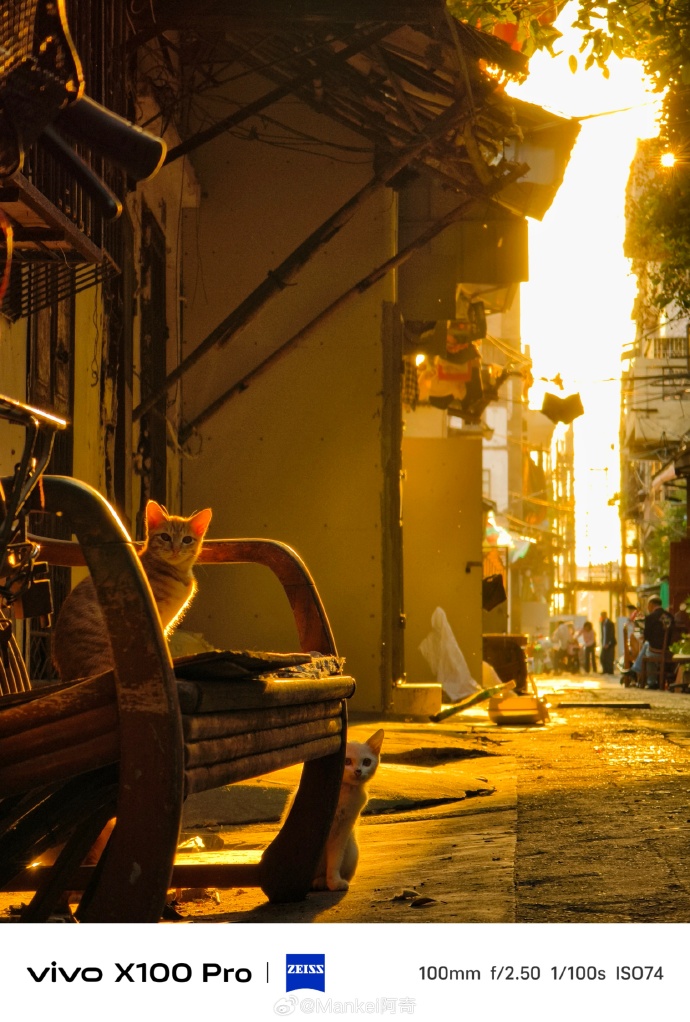 Lahumphreys's tweet photo. Just caught this tiny sunbeam creeping through the city alley at golden hour https://t.co/F4gAVbEOC3