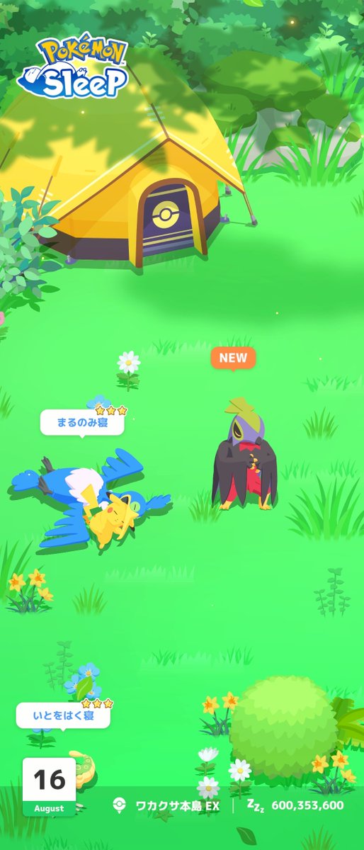 cabasa_master's tweet photo. 今朝のポケスリは色違いルチャブルがいたよ　色違いカッコいいね https://t.co/19AAh6B1rt