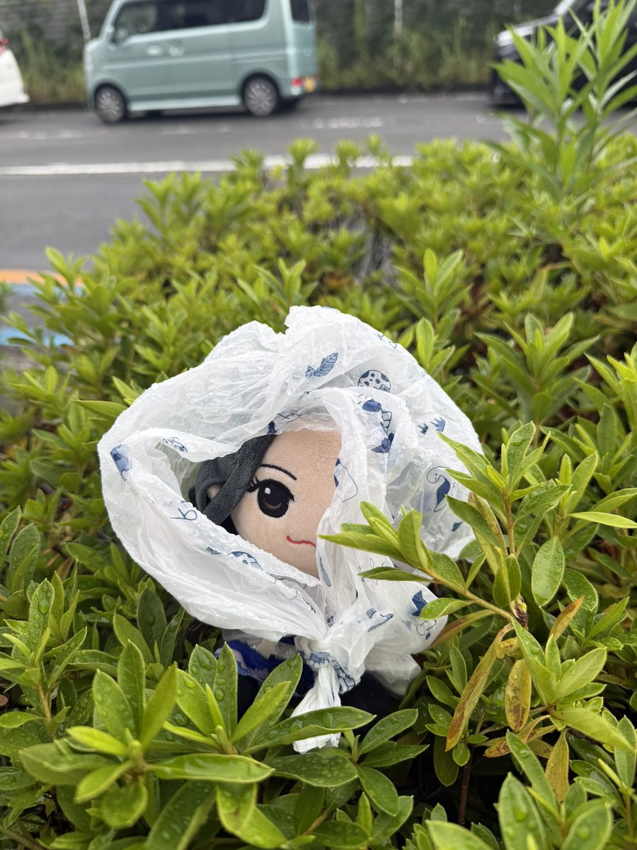 runakiri_22173's tweet photo. 先ほどきりのぬいを落としてしまって
探しの旅に出かけたら
見つけることが出来ました😭😭😭
しかも雨やどりさせてくれてて…☔️
拾ってくれた方、、
本当にありがとうございます😭😭
おそらく、あめちゃんかふるっぱーの方だと思うのですが、本人まで届いてくれたら嬉しいです🍀 https://t.co/ZeIko32Rso
