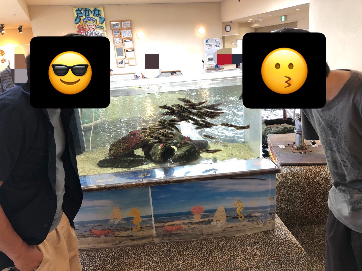 maruni_2567's tweet photo. ながーい桟橋と無料の海水博物館のある渚の駅へ。
釣りもできるし海水浴も出来るしご飯も食べれるしメチャ良いところだった…また来たい！
そんでお昼には帰路についたんですが雨が降ってまいりました
活動中お天気持ってくれてありがたかった。

さて、明日からは現実に戻るか… https://t.co/nA5oM3tnV3