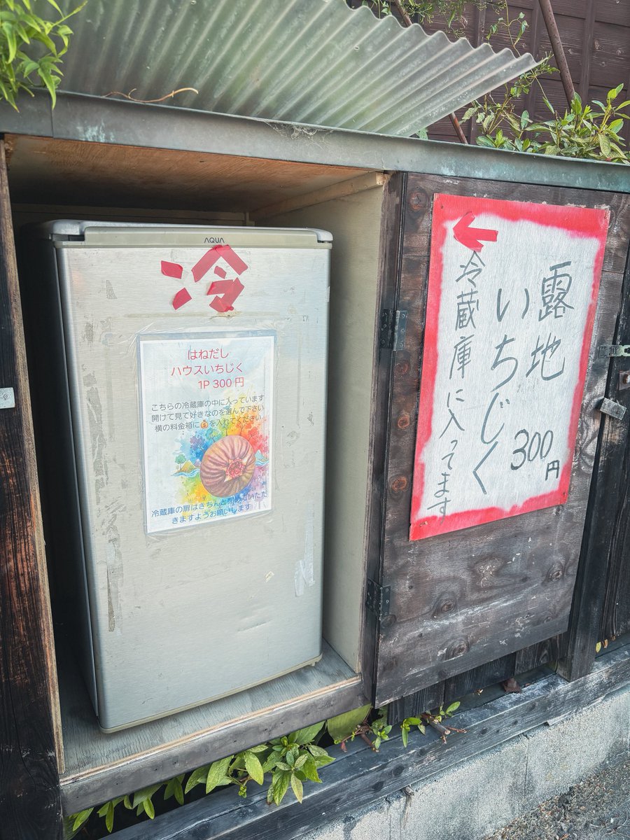 今週も無事ゲット。毎回、車を停めて冷蔵庫を開けてみないと分からない