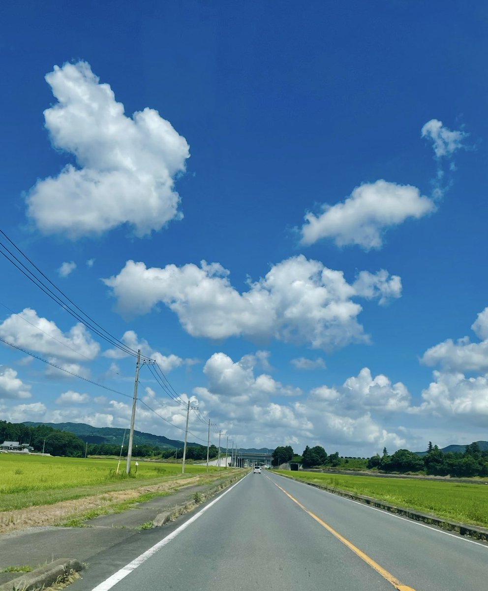 写真は高速に乗る前の 茨城県の田圃と夏空と白い雲 初っ端の8日の