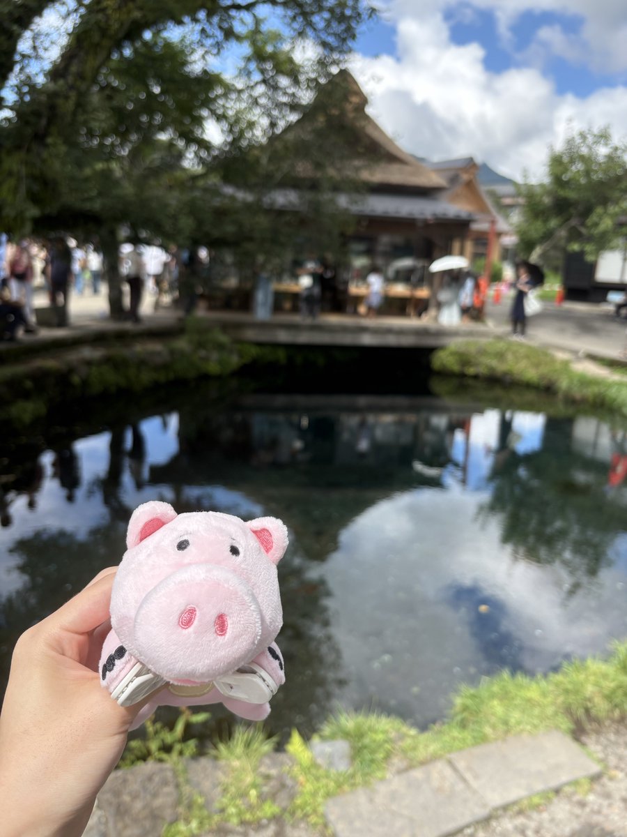 sp_user16's tweet photo. けいちゃんがぬい活してるからやってみた
去年ディズニーで一目惚れしてお迎えしたハムと忍野八海🐽 https://t.co/3LRVtOufTH