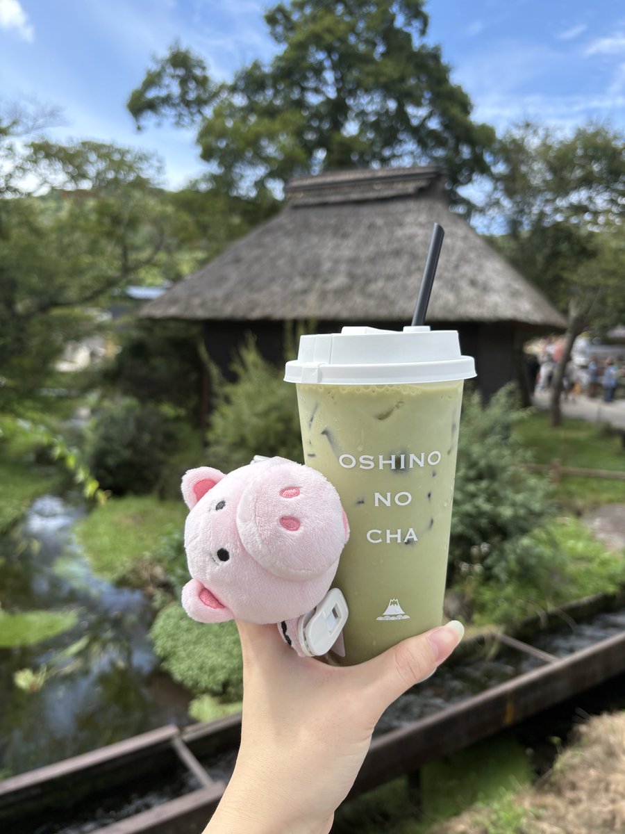 sp_user16's tweet photo. けいちゃんがぬい活してるからやってみた
去年ディズニーで一目惚れしてお迎えしたハムと忍野八海🐽 https://t.co/3LRVtOufTH