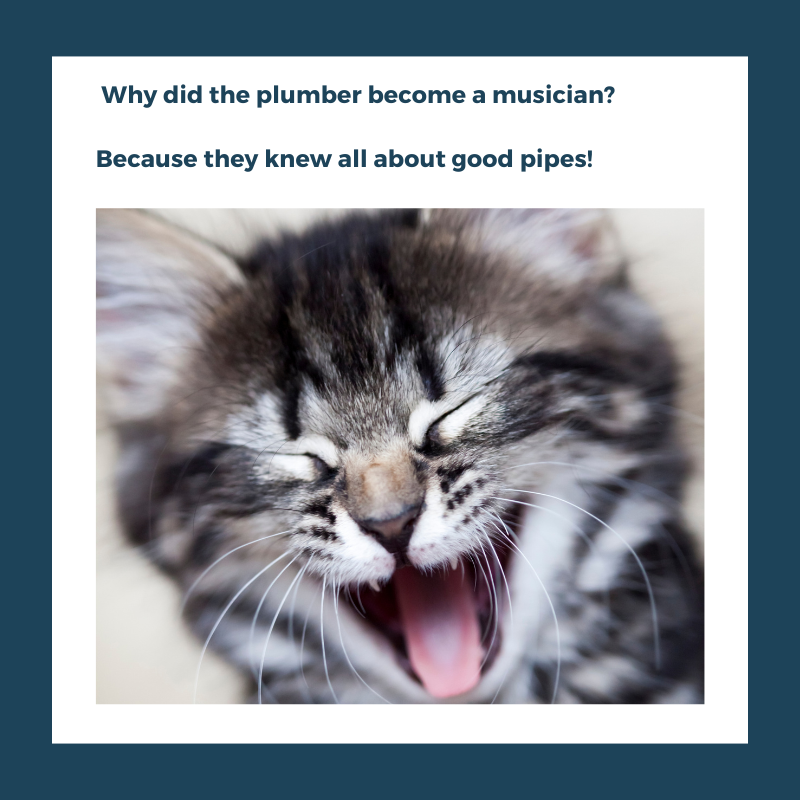 ExpertPlumbingS's tweet photo. Today is National Tell a Joke Day! We thought we'd join the fun—here's one for you!  Why did the plumber become a musician? Because they knew all about good pipes! #ExpertPlumbingSolutions #SanFranciscoPlumbing #SanFranciscoPlumber #PlumbingServices #DrainMaintenanc https://t.co/OJQZ7HTI8A