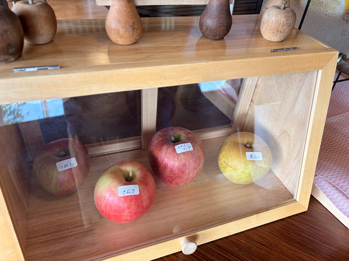 tera_cbr's tweet photo. 娘、初めての林檎梨狩り🍎 https://t.co/kMX7V9zAMu