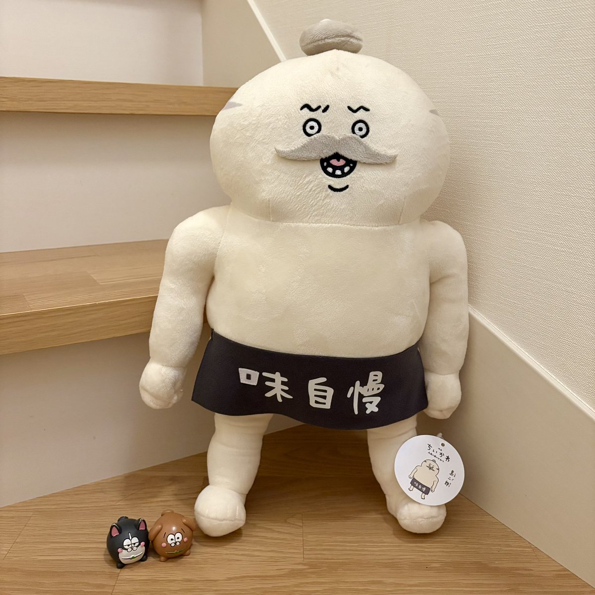 eri_fdgk's tweet photo. 大きさをわかっていただく為のいっぬたちとしまじろう https://t.co/ZerOPXLJQy