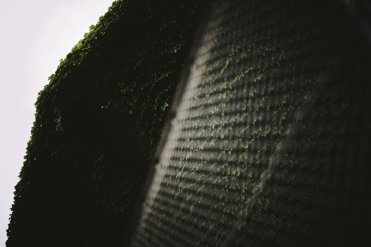 HtTeramoto's tweet photo. #LeaveOnlyTheLight #光だけを残す #PhotographyIsArt #ContemporaryPhotography https://t.co/fI9Q39VhBz
