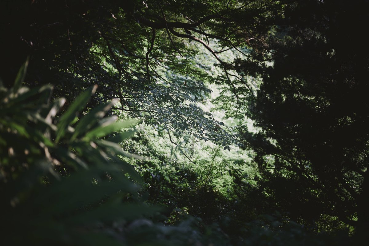 HtTeramoto's tweet photo. #LeaveOnlyTheLight #光だけを残す #PhotographyIsArt #ContemporaryPhotography https://t.co/J3rXaapzhP