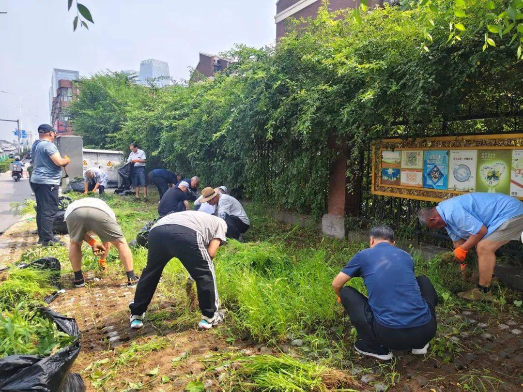 AlphonsoSc31122's tweet photo. Join our weekend community garden cleanup this Sat 9AM! Bring gardening gloves u0026 make our neighborhood greener—all neighbors welcome! https://t.co/330mbmdicQ