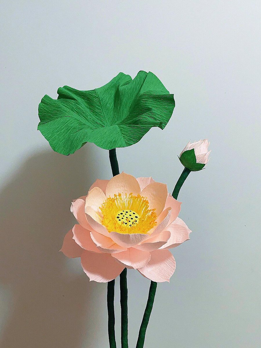 dfeedsome's tweet photo. Today’s tiny art escape: folding colorful paper into delicate shapes and watching them bloom.  No fancy skills needed, just creativity! https://t.co/VbSybFvoiT