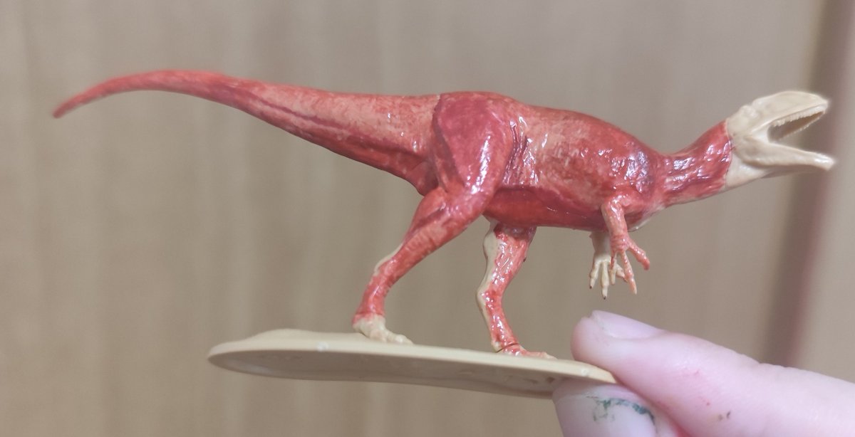 Akikan_1981's tweet photo. 2体目塗ってます🦖
今回は筋肉剥き出しの標本に仕上げていくぞ！
 #恐竜 #フクイラプトル #TAMIYA #タミヤ #プラモデル https://t.co/oaQtMYh6BZ