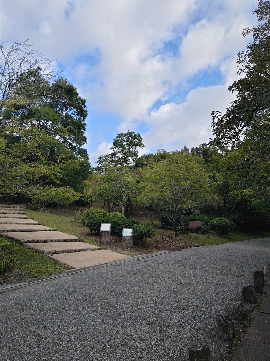 hitomihcx's tweet photo. Kameyama Park/亀山公園/2026.08.15
#Kyoto #京都 #arashiyama #嵐山
#KameyamaPark #亀山公園
#ArashiyamaPark #嵐山公園
#NearbyPark #近所の公園
#AutumnLeaves #紅葉
#Azalea #ツツジ #躑躅 https://t.co/Sw03CVXuKI