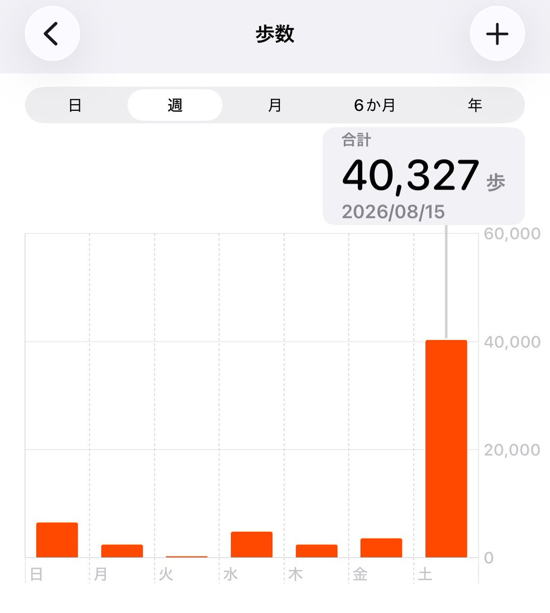 ynadayoo's tweet photo. 昨日は40000歩の後にうちの子と揃って熱を出してしまった…😭
今日も頑張りつもりが帰ることに…

また体鍛えてから戻ってくるよ👏 https://t.co/0BhqNKwHco