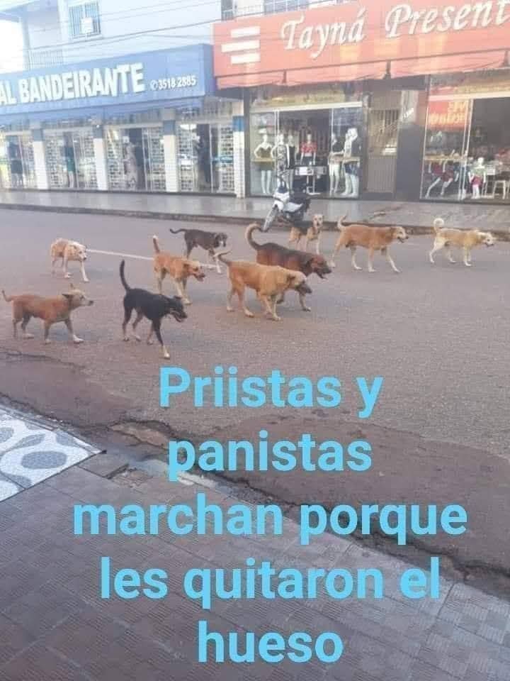 LopezMarth26754's tweet photo. @AlbertoDin84757 Vaya,vaya que multitud 😂😂😂😂😂😂😂. https://t.co/3TE8xki8Zb
