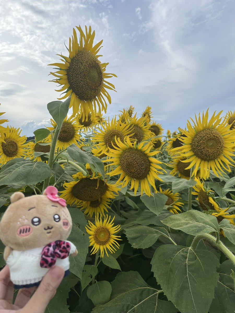 _Popo_2525's tweet photo. 🌻👱🏽‍♀️🤟🏾 https://t.co/JqSuQObH2i
