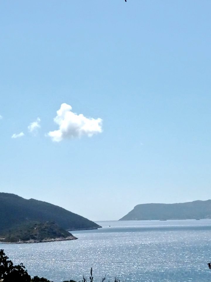 szreralp's tweet photo. Günaydın https://t.co/ADjK8ld4Kb