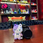 Photo by 叶琳（かりん） (@ringooon_)