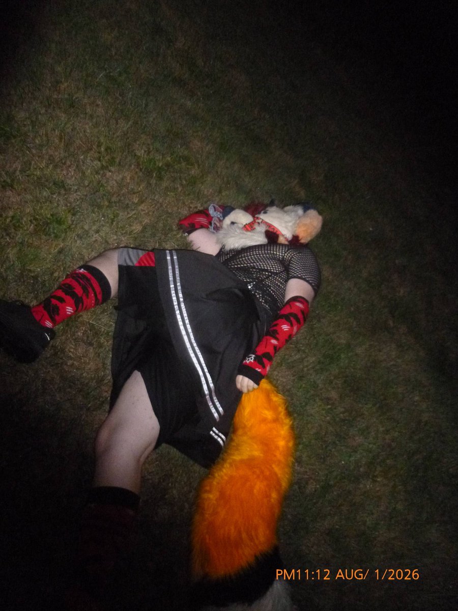 Cobalt_Foxx's tweet photo. Dam this fops got slimed out fr by @delta_husky death by lightsaber #fursuit #femboy https://t.co/vp1afc4S3l
